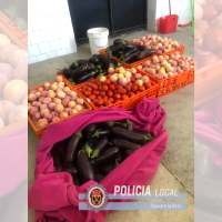 Pillados in fraganti tras robar en Talavera la Real (Badajoz)