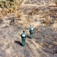 Investigado el supuesto autor de 6 incendios forestales en la provincia de Cáceres