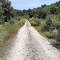 Acondicionarán el camino rural de Jerez de los Caballeros a Encinasola
