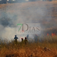 Declarado un incendio de nivel 1 en la carretera de Sevilla (Badajoz)