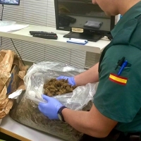 Detenido en Talayuela (CC) al recibir un paquete con varios kilos de marihuana