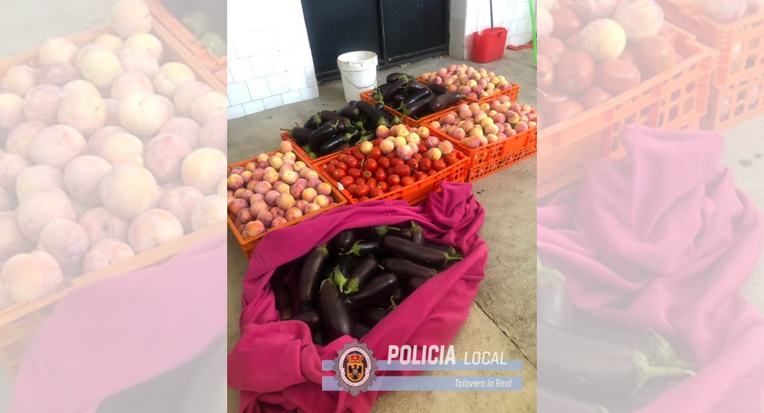 Pillados in fraganti tras haber robado en Talavera la Real (Badajoz)
