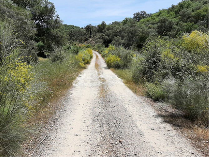 Acondicionarán el camino rural de Jerez de los Caballeros a Encinasola