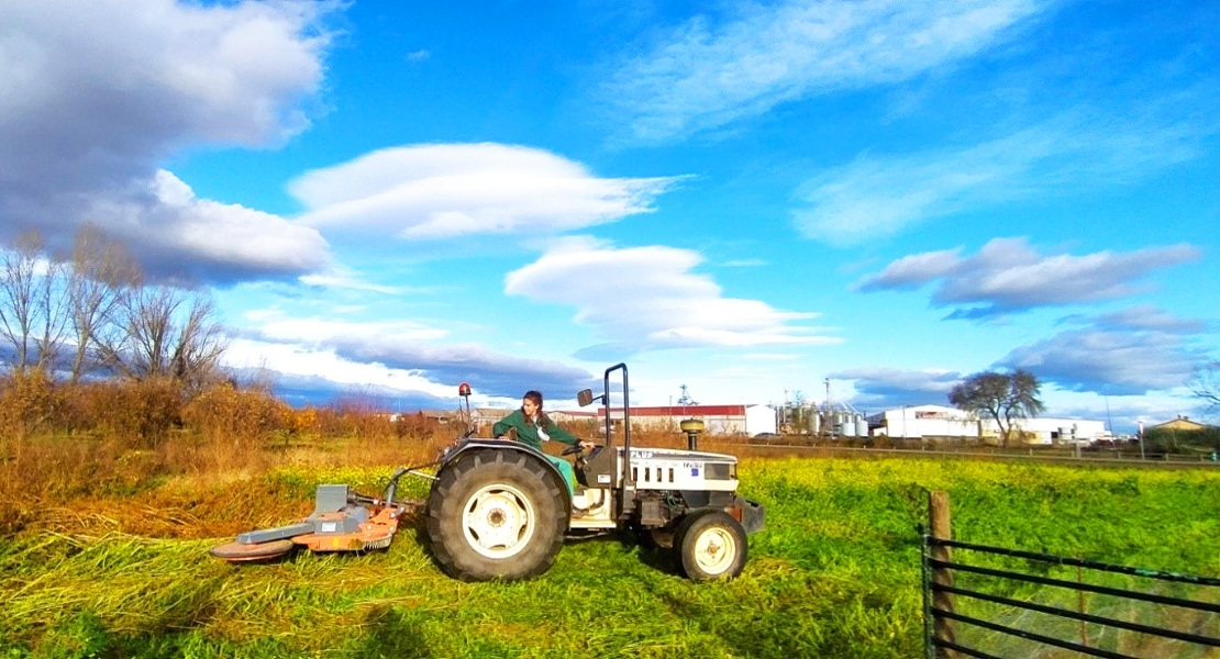 Nueva resolución provisional de ayudas para que jóvenes agricultores creen empresas en Extremadura