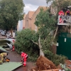 REPOR - La borrasca Beatrice causa destrozos en la ciudad de Badajoz