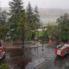 Caen dos árboles al suelo en la avenida Santa Marina de Badajoz