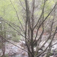 Se pierde en una zona de campo de Extremadura sin equipamiento, de noche y bajo la lluvia