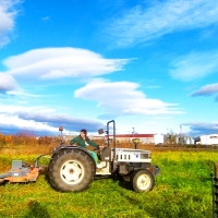 Nueva resolución provisional de ayudas para que jóvenes agricultores creen empresas en Extremadura