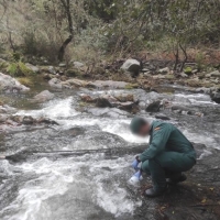 Sorprendido vertiendo aguas fecales en una garganta de La Vera