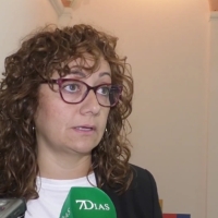 Declaraciones de la alcaldesa de Jerez sobre el accidente mortal