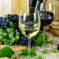 “Agricultura ayuda más a los especuladores que a los pequeños agricultores en el sector vitivinícola”