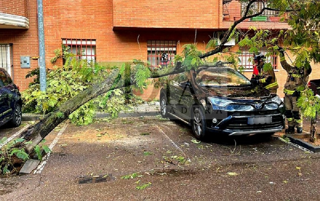 Continúan cayendo árboles en Badajoz