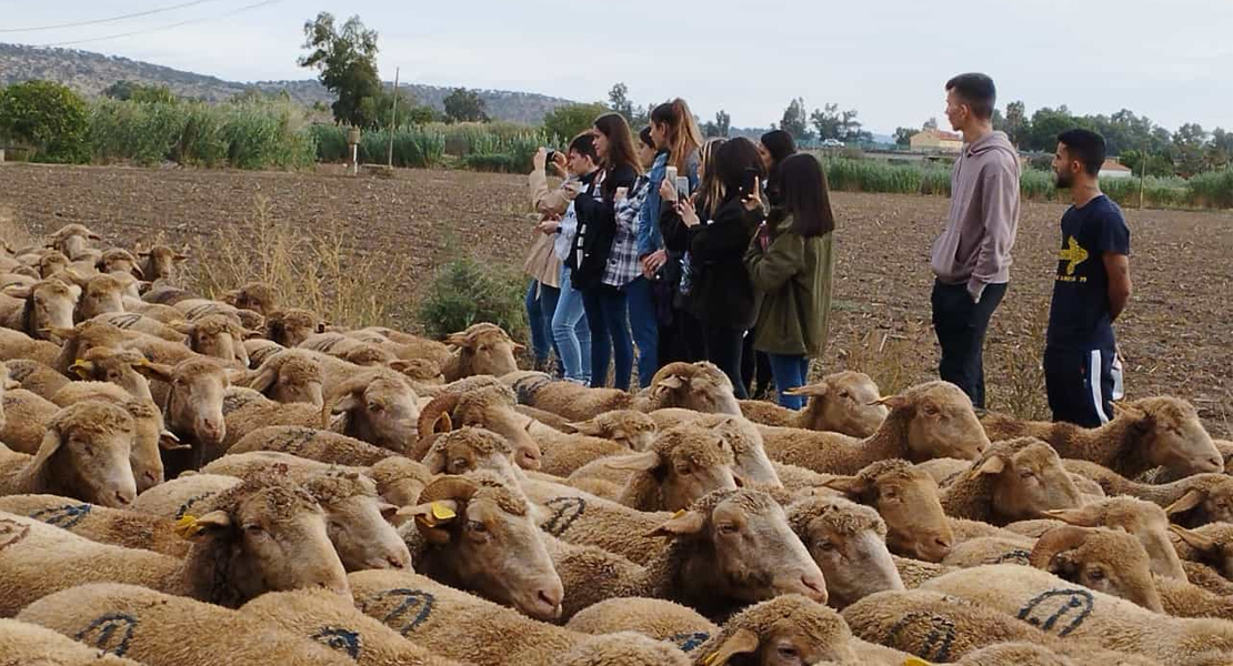 Reconocen el trabajo del CFMR de Don Benitopor trabajar en la recuperación de la raza merina