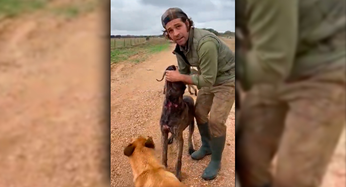 Se hace viral el vídeo de un cazador en Extremadura mostrando las heridas de sus perros
