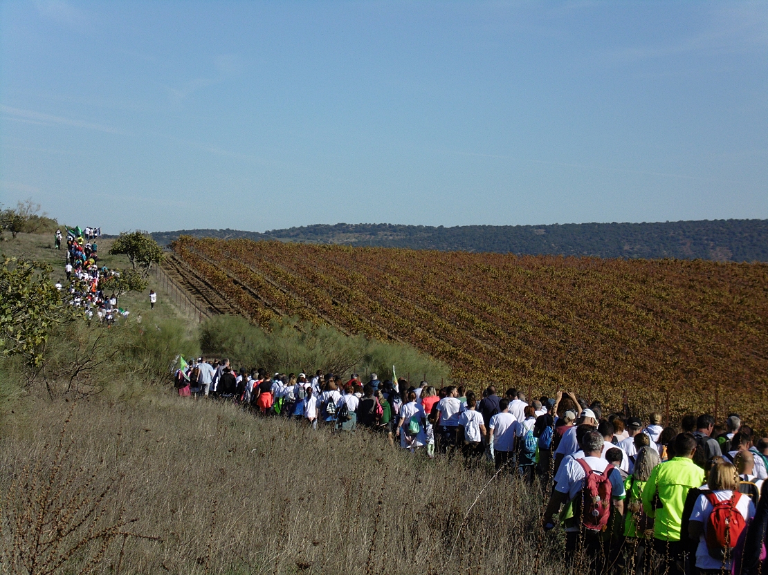 Más de 500 personas recorren los terrenos donde iría el macrovertedero de Salvatierra