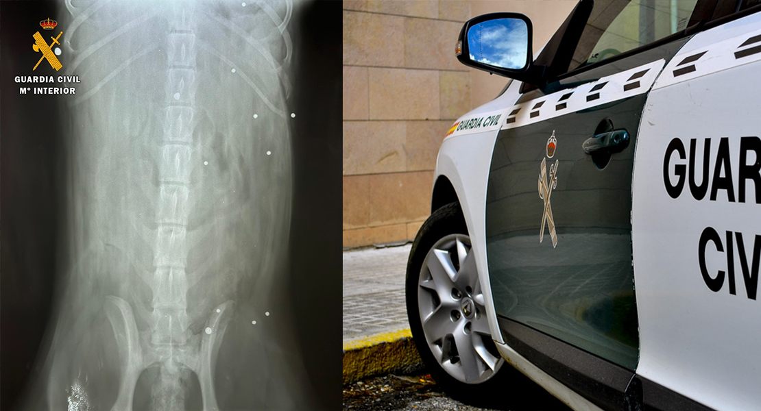 Investigado por pegar tres tiros al perro de su vecina en un pueblo extremeño