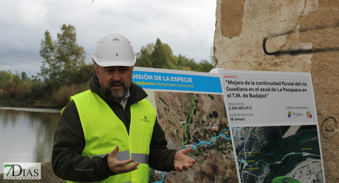 Presentan una solución para el Guadiana: ¿lograrán eliminar el nenúfar en Badajoz?