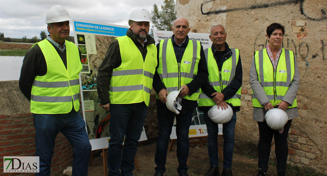 Presentan una solución para el Guadiana: ¿lograrán eliminar el nenúfar en Badajoz?