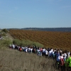 Más de 500 personas recorren los terrenos donde iría el macrovertedero de Salvatierra