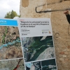 Presentan una solución para el Guadiana: ¿lograrán eliminar el nenúfar en Badajoz?