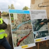 Presentan una solución para el Guadiana: ¿lograrán eliminar el nenúfar en Badajoz?