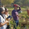 Un experto imparte un taller práctico en los huertos urbanos de Suerte de Saavedra en Badajoz