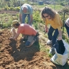 Un experto imparte un taller práctico en los huertos urbanos de Suerte de Saavedra en Badajoz