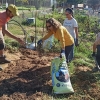 Un experto imparte un taller práctico en los huertos urbanos de Suerte de Saavedra en Badajoz