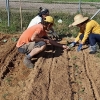 Un experto imparte un taller práctico en los huertos urbanos de Suerte de Saavedra en Badajoz