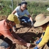 Un experto imparte un taller práctico en los huertos urbanos de Suerte de Saavedra en Badajoz