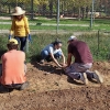 Un experto imparte un taller práctico en los huertos urbanos de Suerte de Saavedra en Badajoz