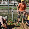 Un experto imparte un taller práctico en los huertos urbanos de Suerte de Saavedra en Badajoz