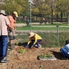 Un experto imparte un taller práctico en los huertos urbanos de Suerte de Saavedra en Badajoz