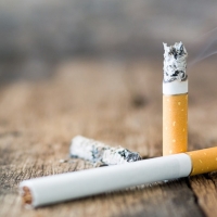 Investigadores europeos presentan en Badajoz novedosos usos alternativos al tabaco