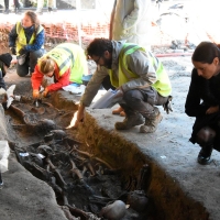 Descubiertas ya 15 personas asesinadas en una fosa común en Miajadas (CC)