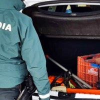 Dos hermanos de Aceuchal roban un vehículo y en un bar de Almendralejo