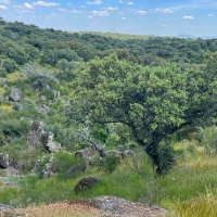 Estudian declarar cinco nuevos espacios protegidos en Extremadura