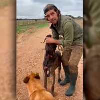 Se hace viral el vídeo de un cazador en Extremadura mostrando las heridas de sus perros