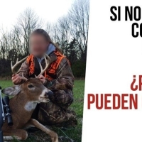 Piden una Extremadura libre de niños cazadores