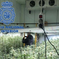 Operación antidroga en Extremadura