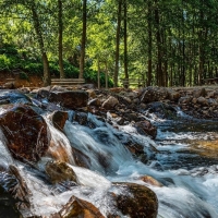 Mejoran la sección de Calidad y Estado de las Masas de Agua en el Guadiana