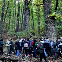 Se reanudan las visitas educativas a los montes públicos extremeños