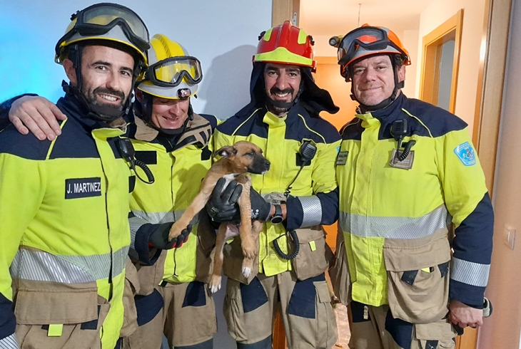 Bomberos del SEPEI salvan la vida a un perro en Navalmoral