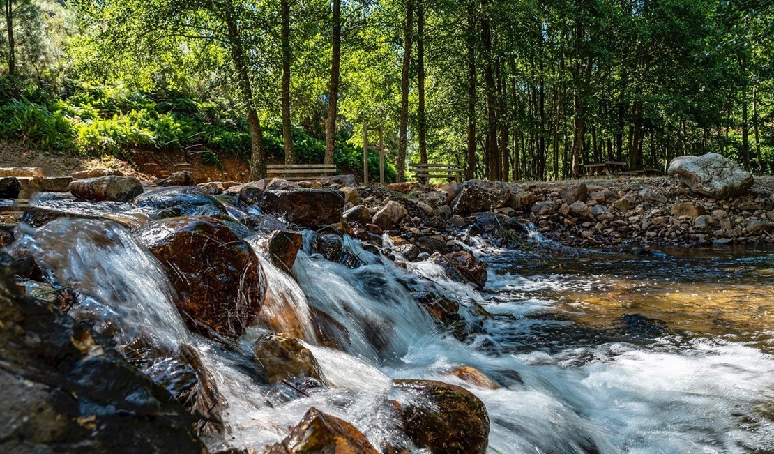 Mejoran la sección de Calidad y Estado de las Masas de Agua en el Guadiana Mejoran la sección de Calidad y Estado de las Masas de Agua en el Guadiana