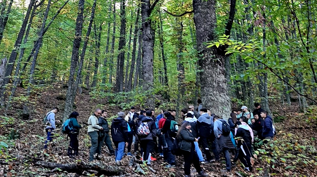 Se reanudan las visitas educativas a los montes públicos extremeños
