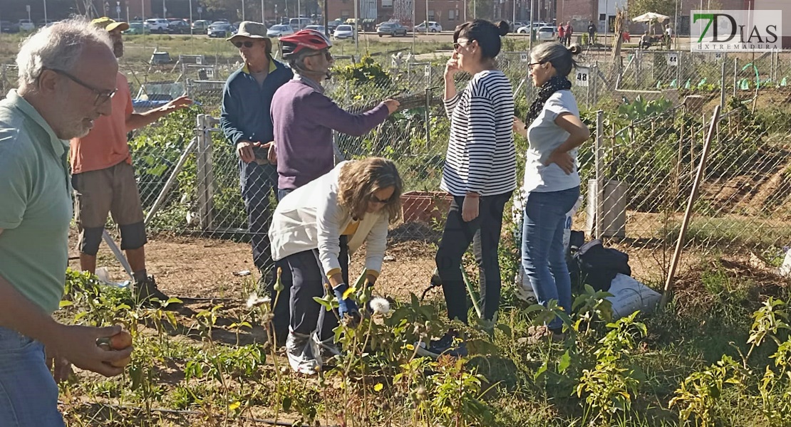 Un experto imparte un taller práctico en los huertos urbanos de Suerte de Saavedra en Badajoz