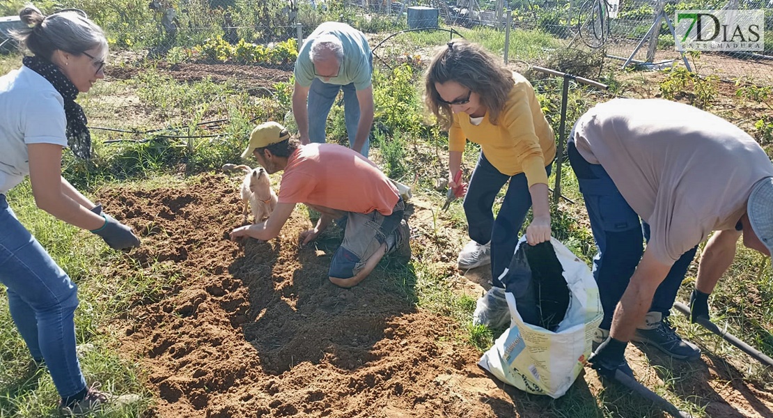 Un experto imparte un taller práctico en los huertos urbanos de Suerte de Saavedra en Badajoz