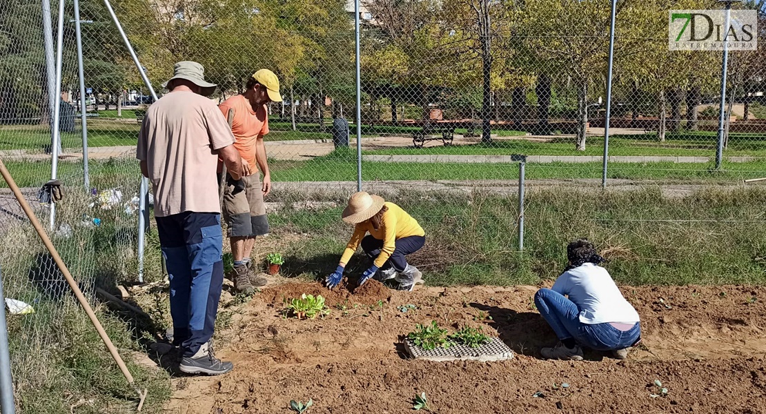 Un experto imparte un taller práctico en los huertos urbanos de Suerte de Saavedra en Badajoz