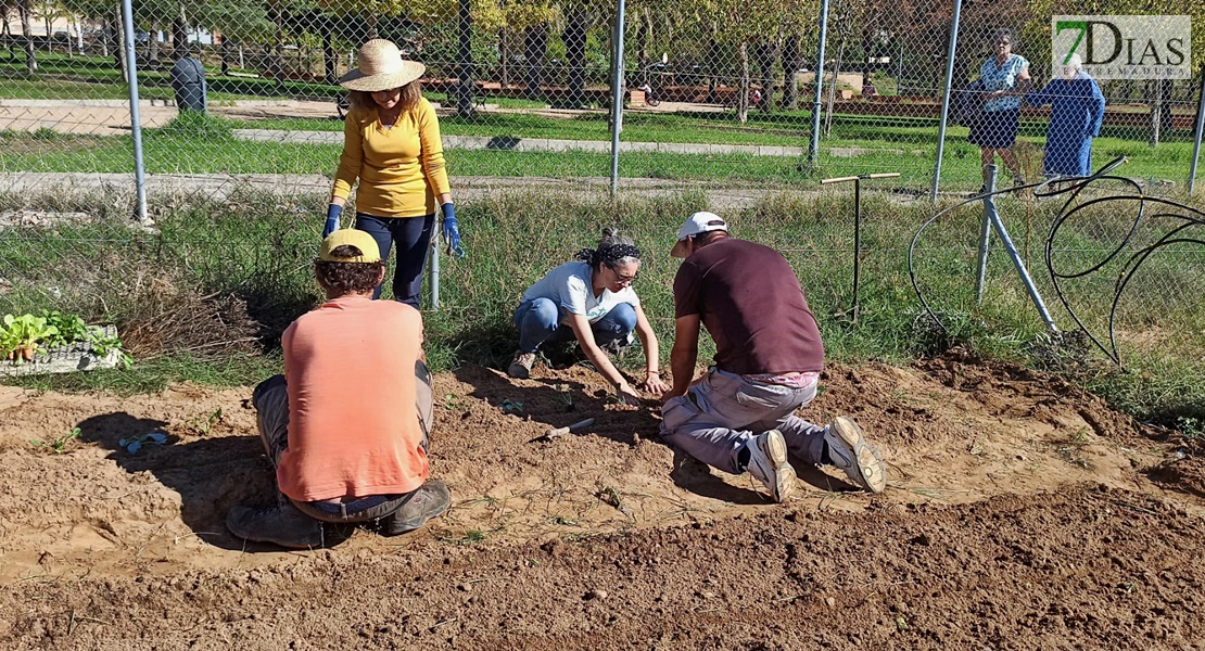 Un experto imparte un taller práctico en los huertos urbanos de Suerte de Saavedra en Badajoz