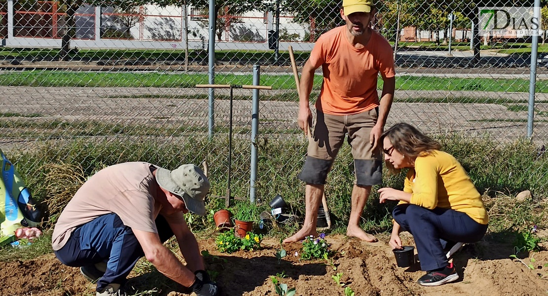 Un experto imparte un taller práctico en los huertos urbanos de Suerte de Saavedra en Badajoz